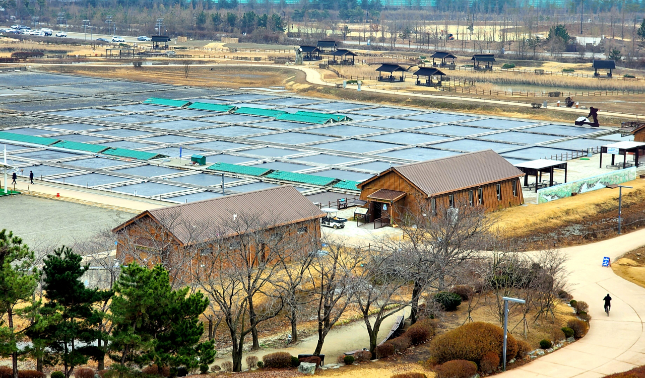갯골생태공원 한복판에 있는 염전체험장