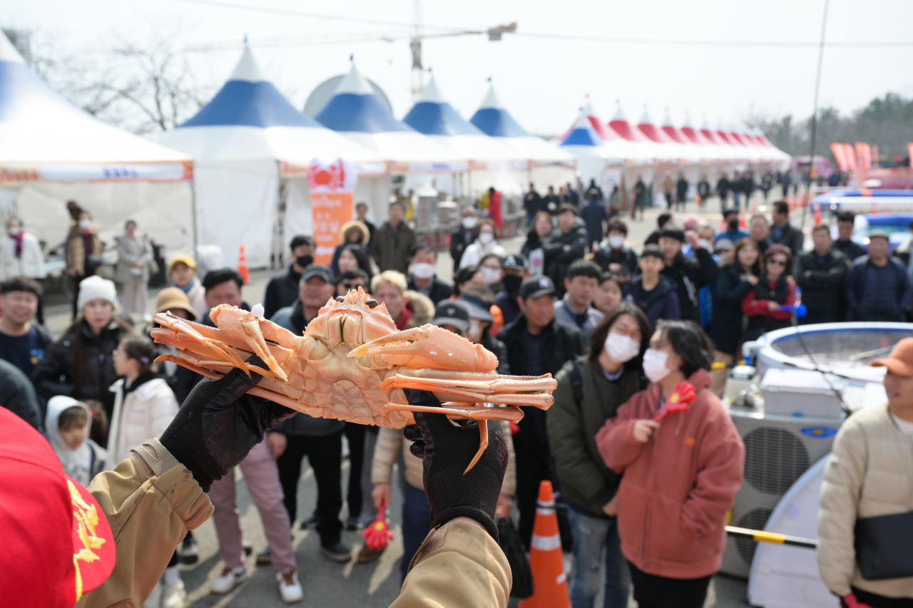 [영덕군 제공]