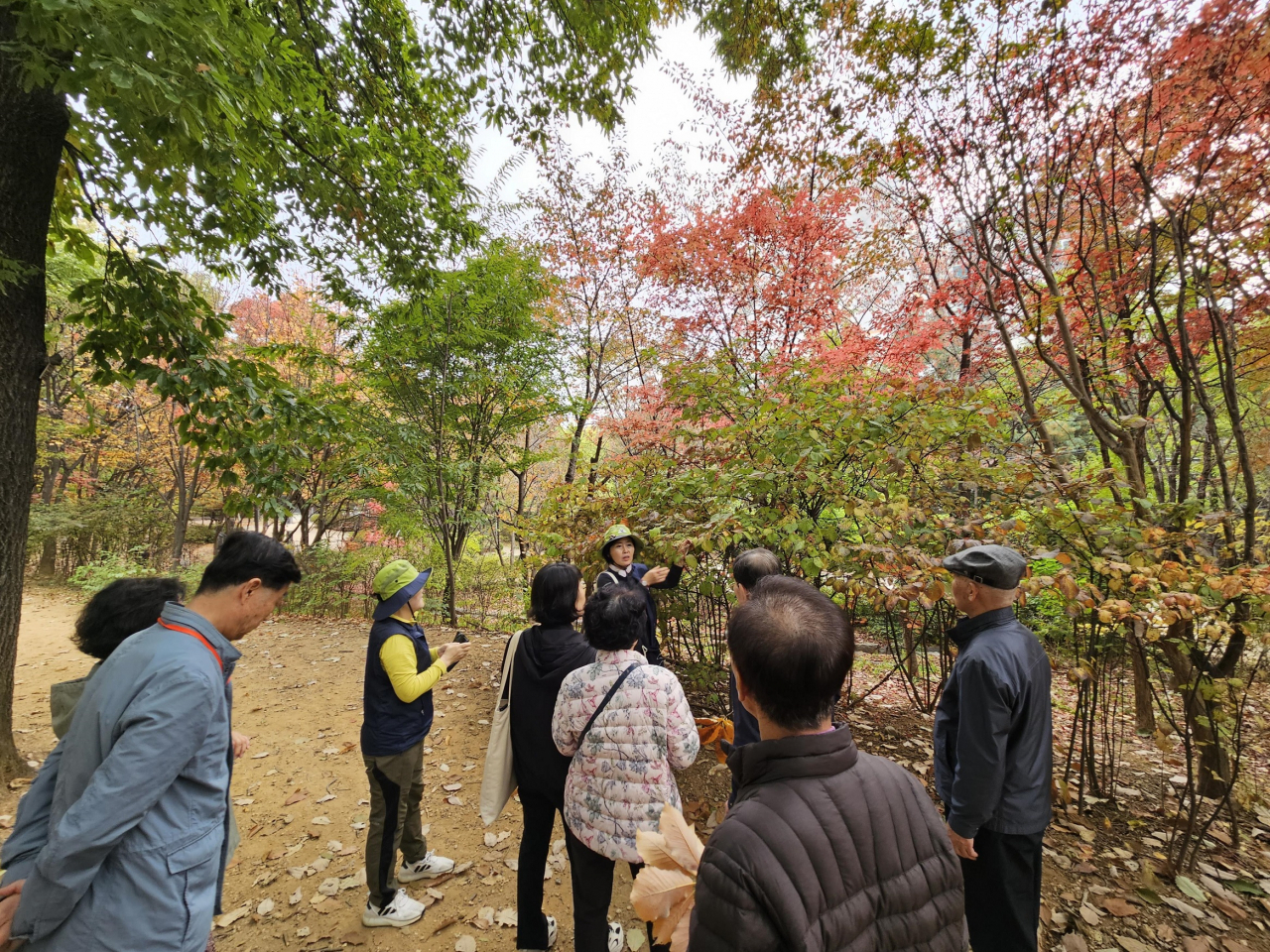 서울 송파구는 치매환자 맞춤형 산림치유 프로그램을 올해부터 운영한다고 5일 밝혔다.[송파구 제공]