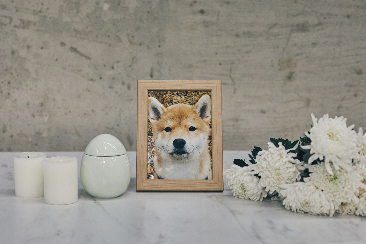 Gifting Condolence Money At Dog’s Funeral: A New Ritual? - The Korea Herald