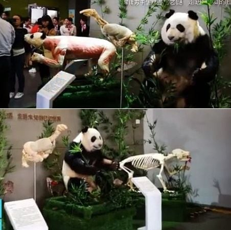 [웨이보]