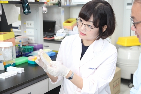 손미영 박사가 인간 전분화능 줄기세포로부터 분화된 3차원 장 오가노이드 관련 실험을 진행하고 있다.[한국생명공학연구원 제공]