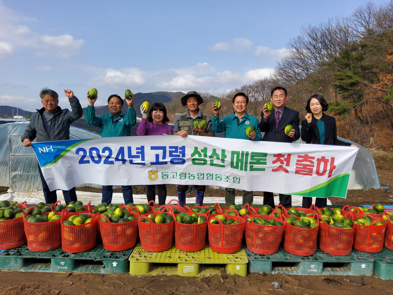 [고령군 제공]