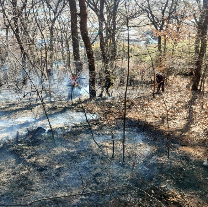 8일 12시 12분경 전남도 여수시 소라면 복산리 산 385-4에서 발생한 산불진화 현장(산림청 제공)