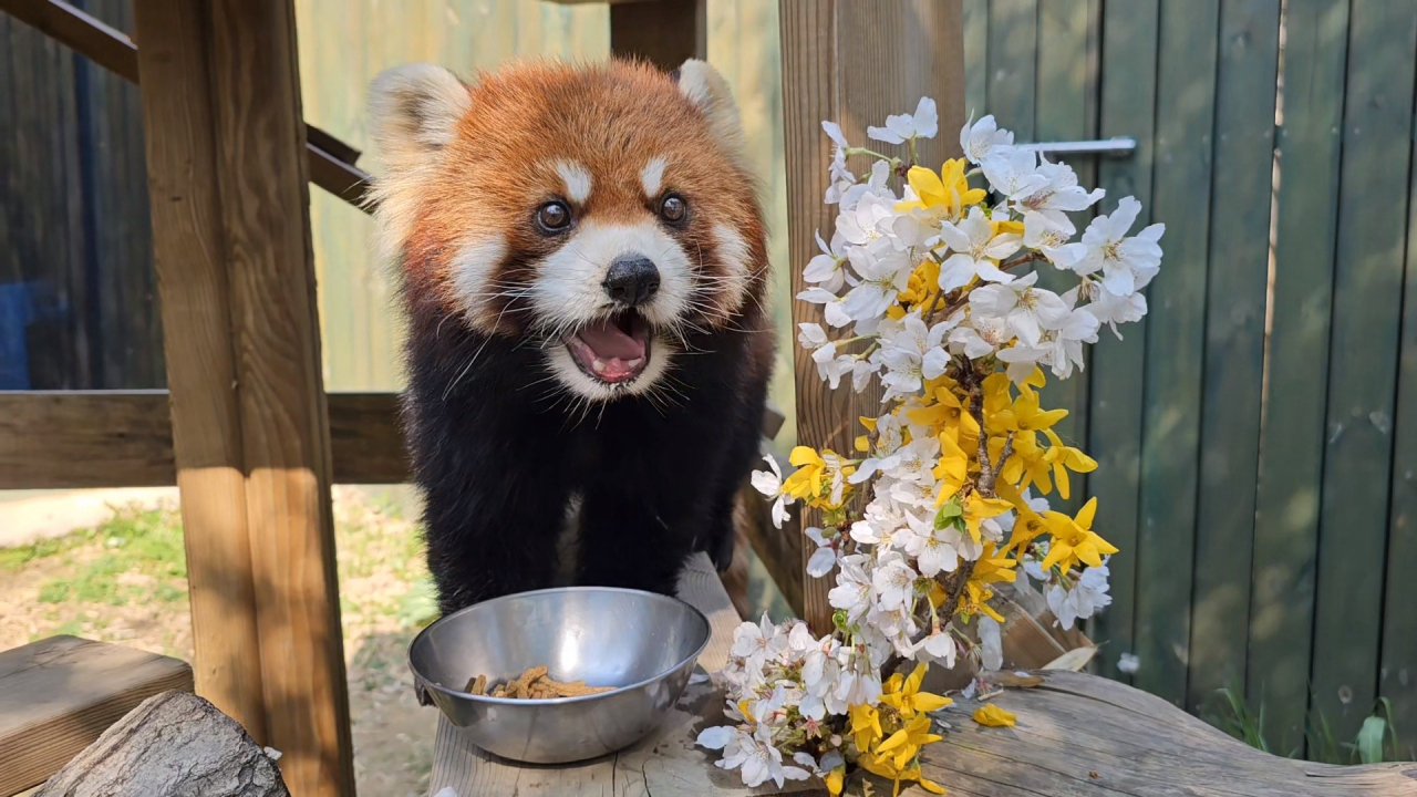 “한 젓가락 하실래예?”
