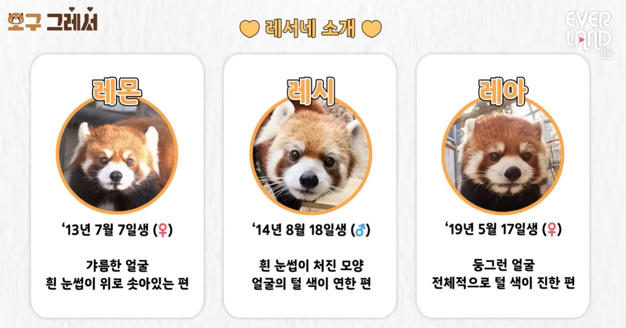 레서네 가족 소개