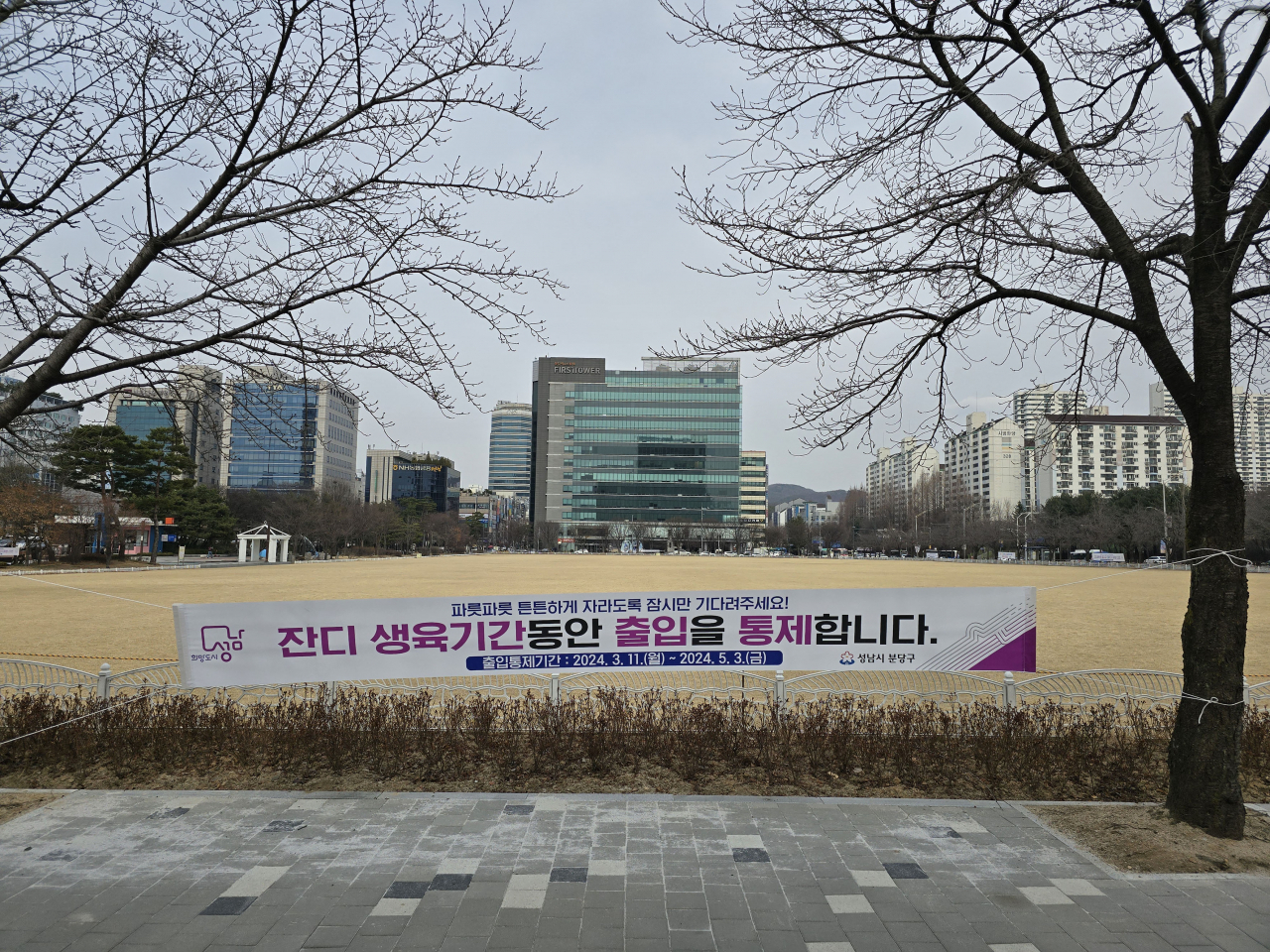 분당구청 앞 잔디광장.[성남시 제공]