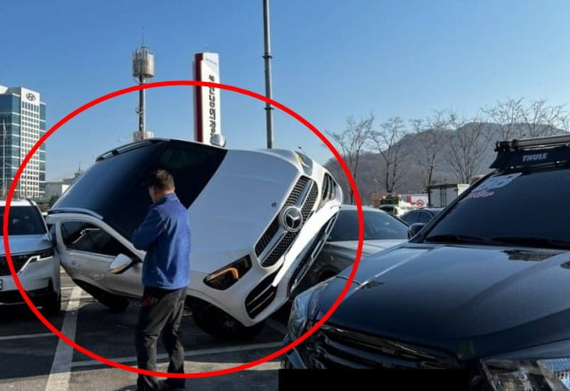 온라인 커뮤니티 캡처