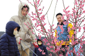 포스코 임직원과 가족이 지난달 광양 홍매화길 가꾸기 봉사활동을 하고 있는 모습