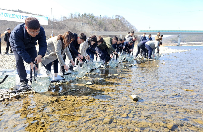 경북도 민물고기연구센터 직원들이 14일 울진 왕피천에 어린 연어를 방류하고 있다.[경북도 제공]