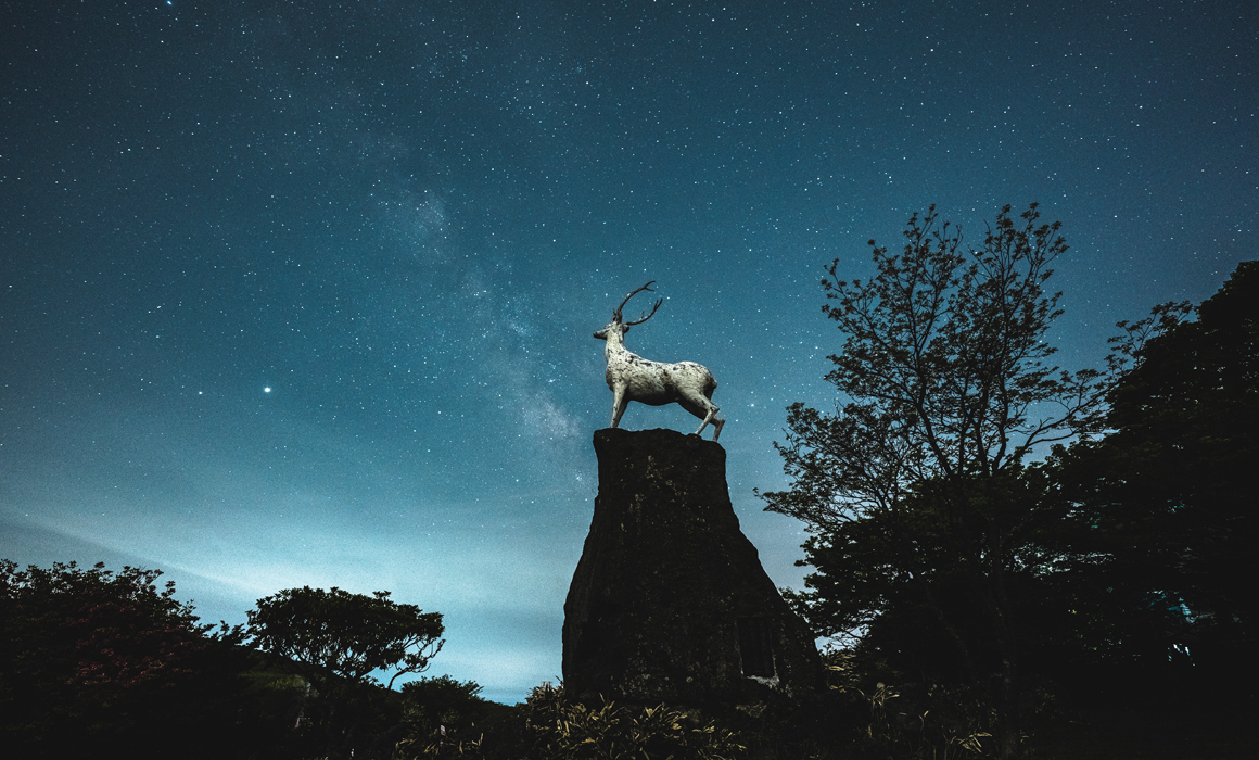 1100고지의 별밤