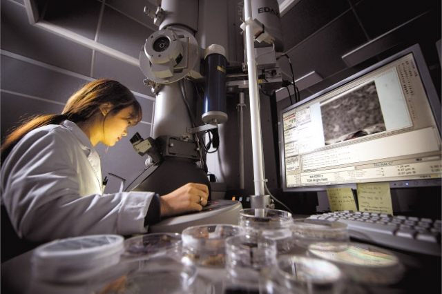 과학기술 정부출연연구기관 연구진의 연구개발 모습.[헤럴드DB]