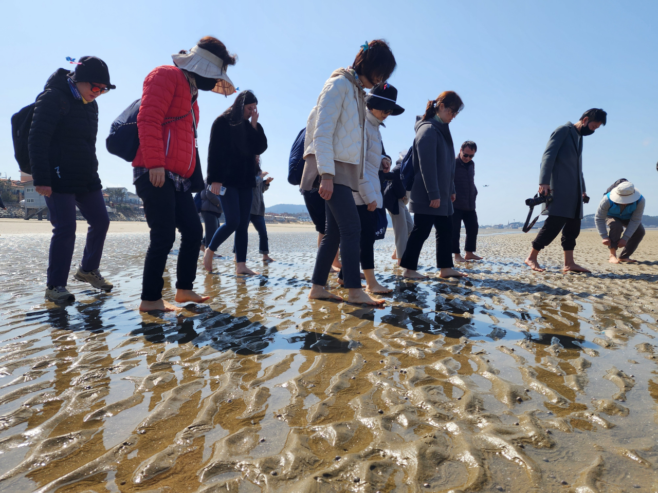 태안 신두리 사구앞 백사장 걷기, 갯벌 어씽. 장미란 차관과 그녀를 알아보지 못했던 여행객들이 걷는데 집중하고 있다.