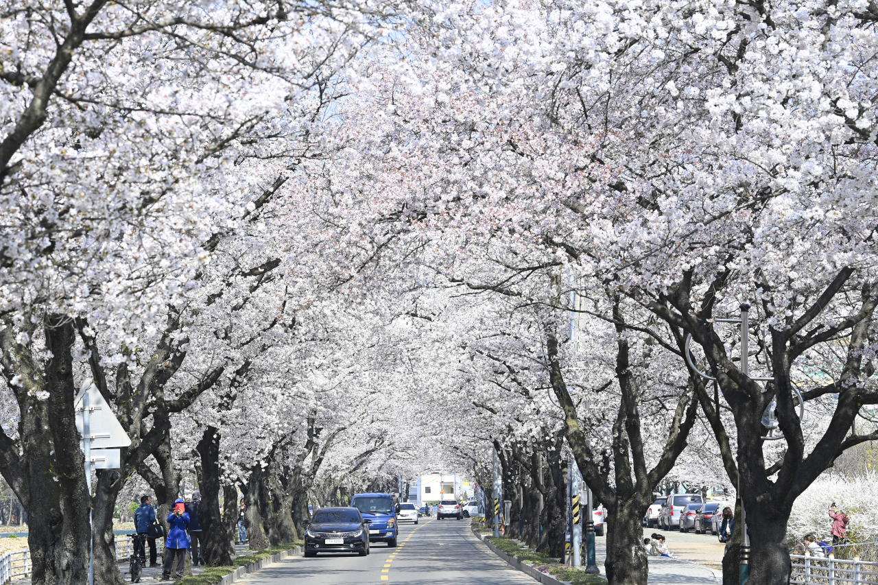 [달성군 제공]