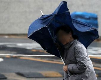 흑산도 홍도 강풍경보