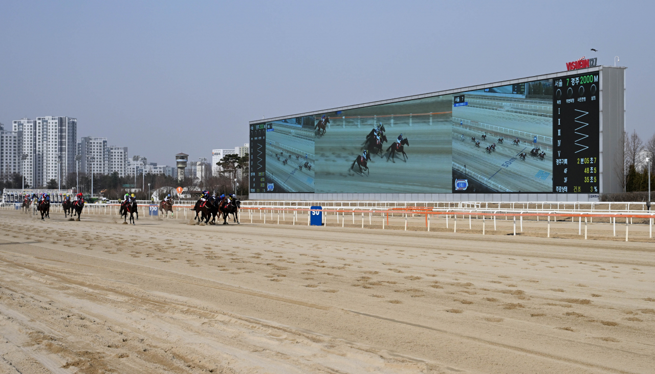 금년도 최우수 장거리마를 선발하는 ‘스테이어(Stayer) 시리즈’의 제1관문인 제22회 헤럴드경제배(G3)가 17일 오후 한국마사회 렛츠런파크 서울에서 제7경주(혼오픈·2000m·총상금 5억 원)로 펼쳐진 가운데 김혜선 기수와 호흡을 맞춘 글로벌히트가 1등으로 달리고 있다. 과천=이상섭 기자