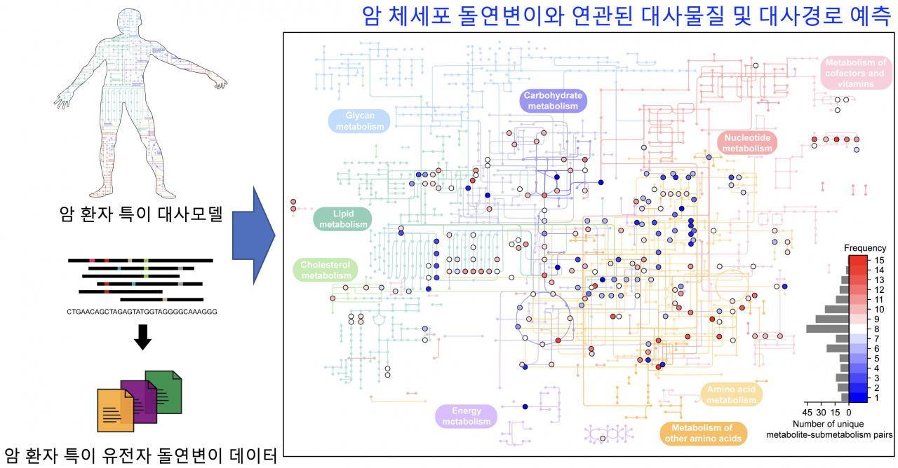 암 체세포 돌연변이와 연관된 대사물질 및 대사경로를 예측하는 컴퓨터 방법론 모식도.[KAIST 제공]
