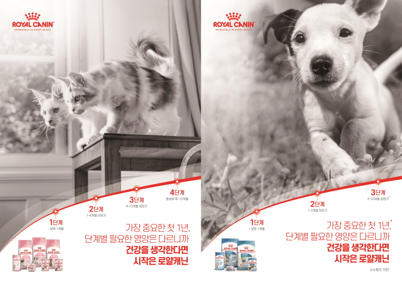 로얄캐닌 ‘2024 건강한 시작’ 캠페인 이미지 [로얄캐닌 제공]