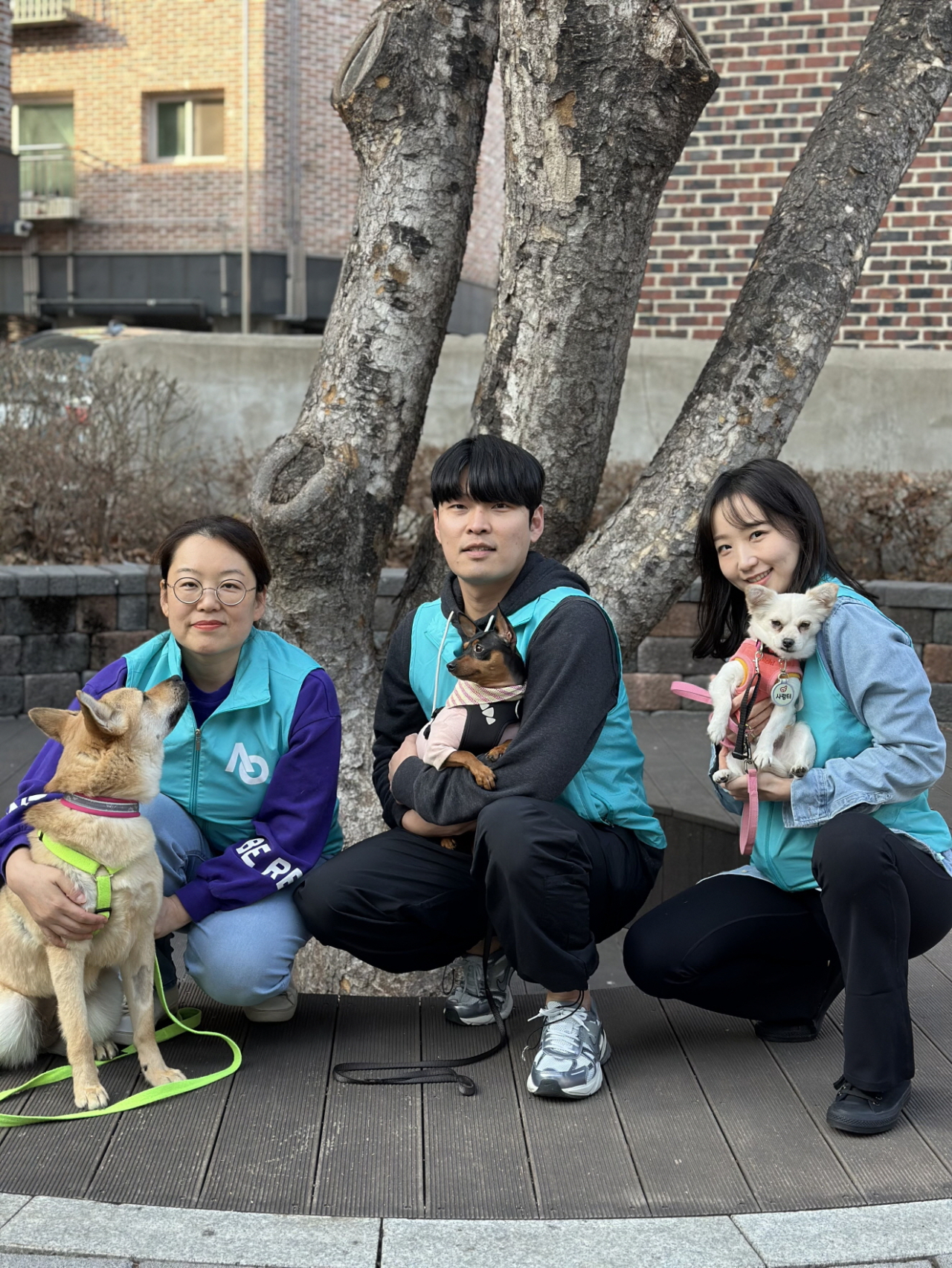 15일 인천시 소재 유기견 보호소 '행복한 유기견 세상'에서 봉사활동을 진행한 에어서울 임직원들이 기념 촬영을 하고 있다. [에어서울 제공]