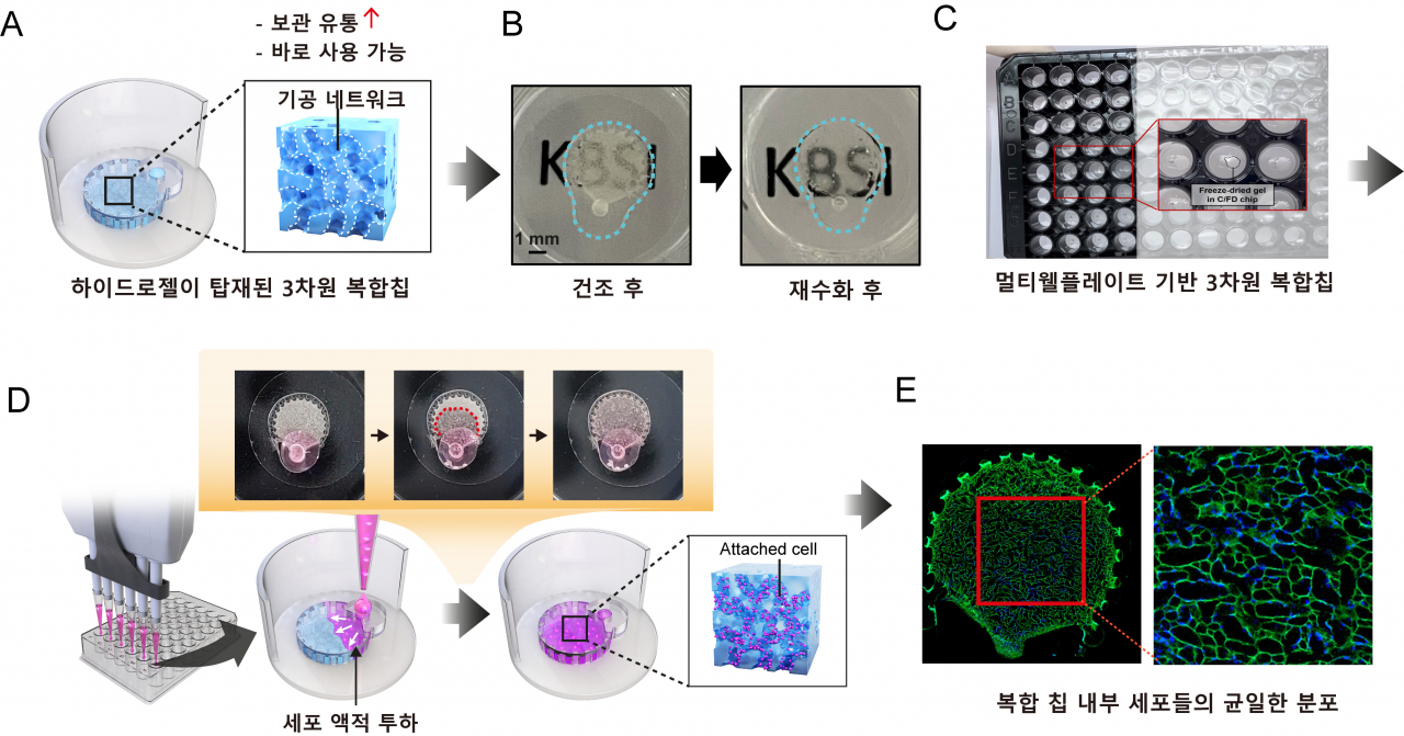 하이드로젤이 탑재된 3차원 생체재료 복합칩 제조 및 3차원 세포배양 모식도.[KBSI 제공]