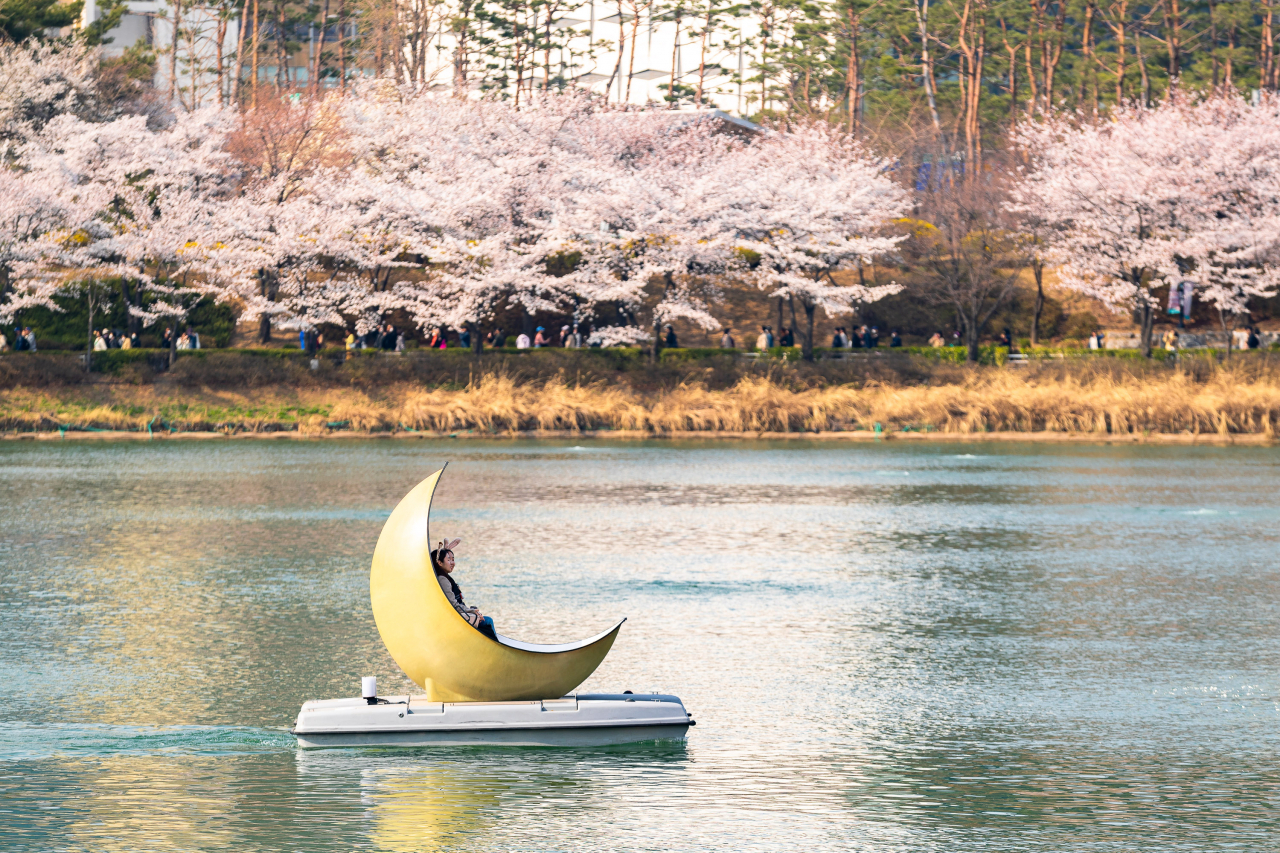 석촌호수의 문 보트