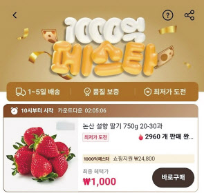 알리익스프레스가 최근 ‘1000원 딸기’ 등 농수산식품에서도 파격적인 가격을 제시하며 국내 소비자들을 공략하고 있다. [알리 홈페이지 캡처]