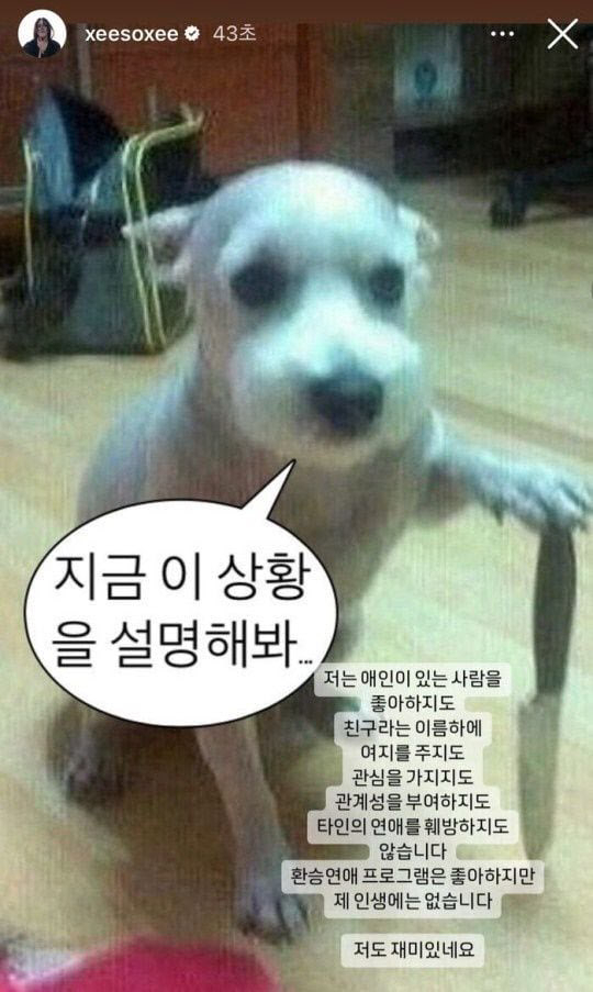 한소희 짤 속 ‘칼 든 강아지’ 주인 등판…“갑자기 슈퍼스타 됐다”