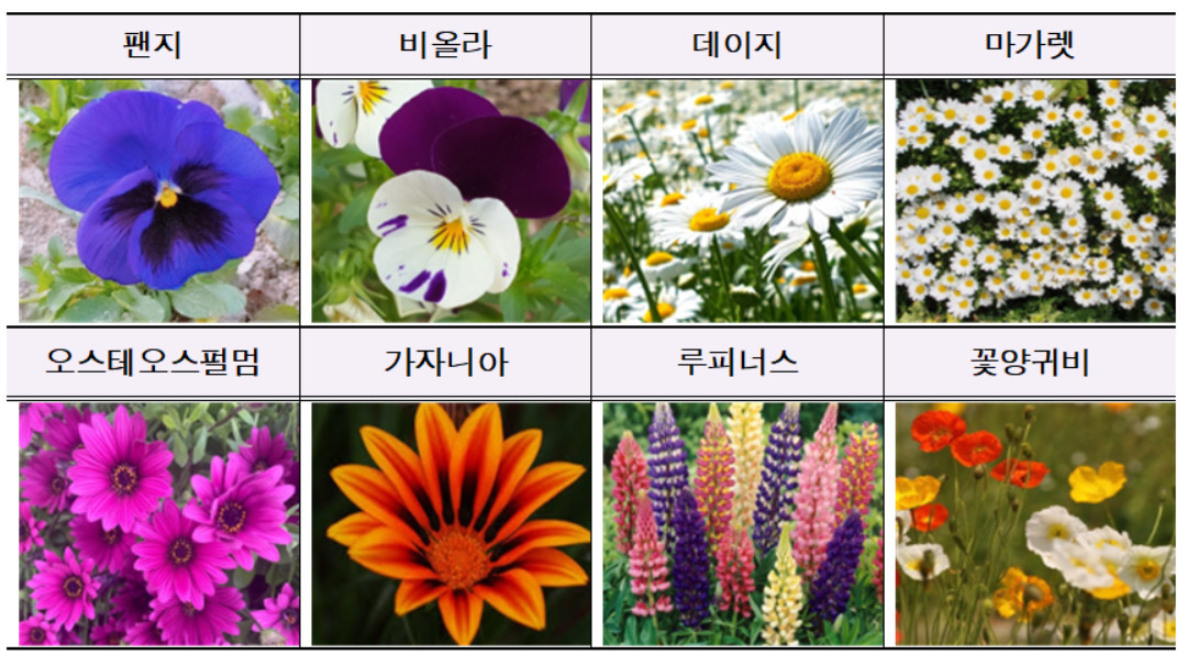 서울시는 봄을 맞아 한강공원 11곳에 유채꽃, 팬지, 데이지 등 6만8000본의 봄꽃을 심었다고 20일 밝혔다.[서울시 제공]