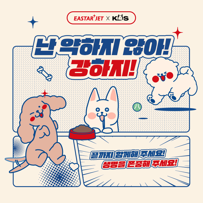이스타항공 ‘유기견 입양 캠페인’ 홍보 이미지. [이스타항공 제공]