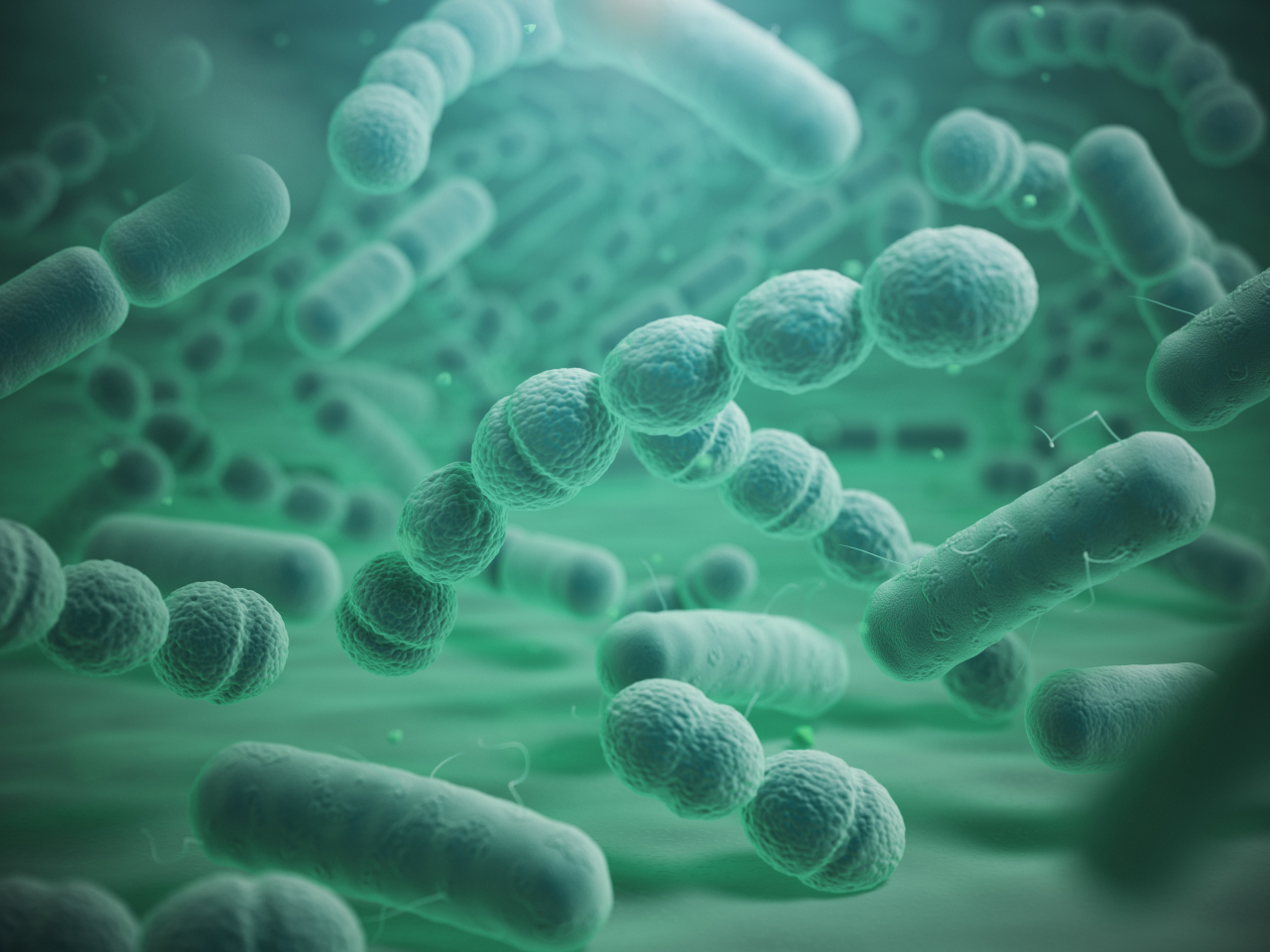 질병청은 원인병원체인 A군 연쇄상구균(Group A Streptococcal, GAS)에 감염된 경우 대부분은 인플루엔자와 비슷한 경미한 호흡기증상이 나타날 수 있다고 밝혔다. 그러나 침습적인 감염이 진행되는 경우 고열, 발진, 류마티스열, 사구체신염 등이 나타날 수 있으며, 중증으로 진행될 경우 괴사성 근막염, 다발성 장기부전, 독성쇼크증후군(STSS) 등으로 악화될 수 있다.〈사진출처:게티이미지뱅크〉