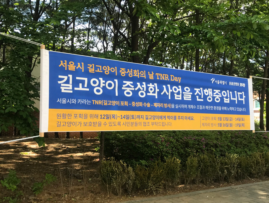 [동물권행동 카라]