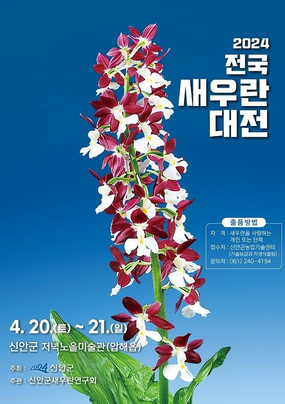 새우란 대전 포스터[신안군 제공]