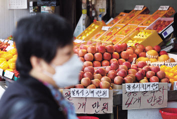 서울 경동시장에서 사과가 진열돼 있다. [연합]