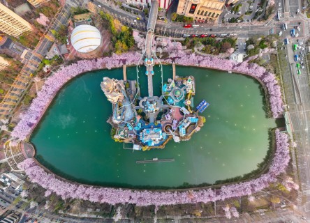 Songpa-gu sets stage for cherry blossoms