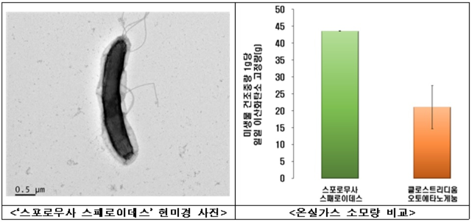 [환경부 자료]