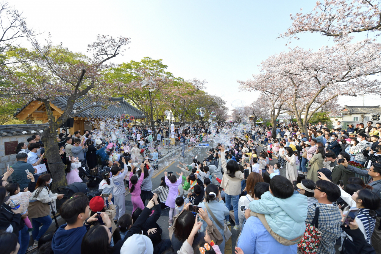 지난해 열린 경주벚꽃축제 대릉원 돌담길 모습.[경주시 제공]