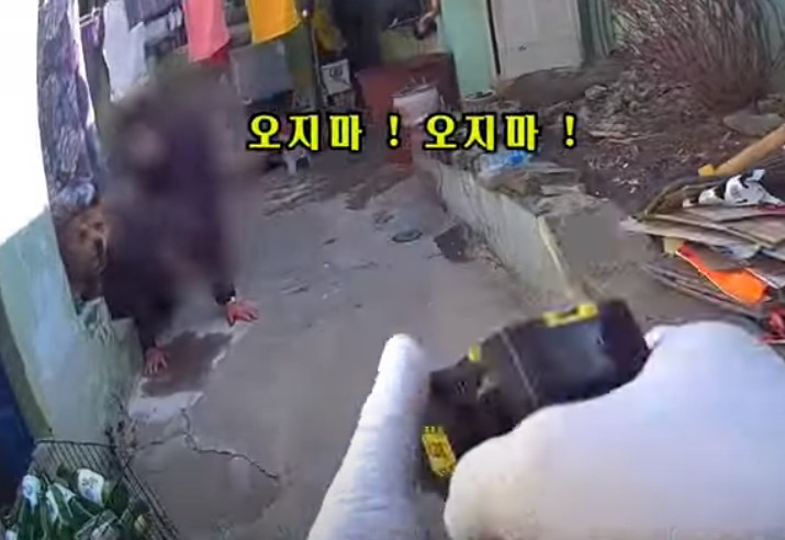 [유튜브 경찰청]