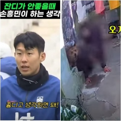 [픽!영상] 손흥민 '입 모양' 영상 화제…70대 주인 공격한 40kg 대형견