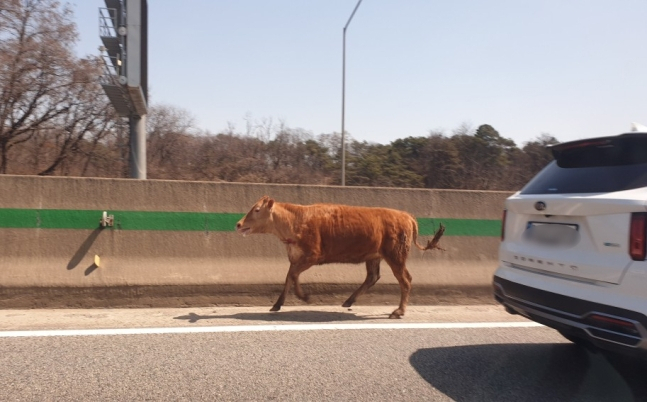 [연합]