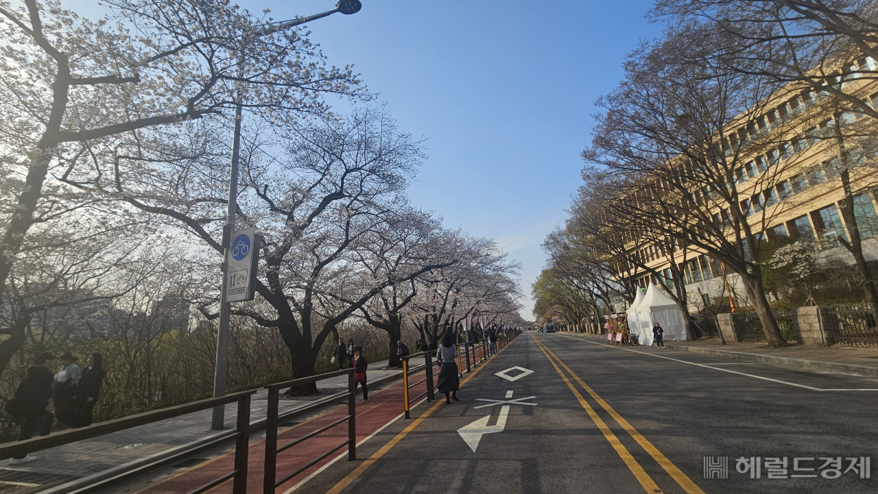 1일 영등포구 여의서로(윤중로) 일대 벚꽃길에 인근 사람이 한산한 모습이다. 김용재 기자