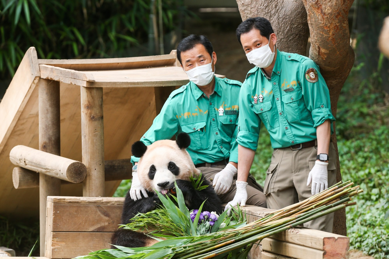 푸바오, 강철원, 송영관 사육사
