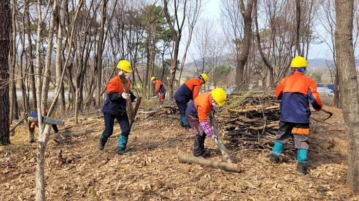 미이용 산림바이오매스 수집단 산물 및 땔감 수집 모습. [충남도 제공]