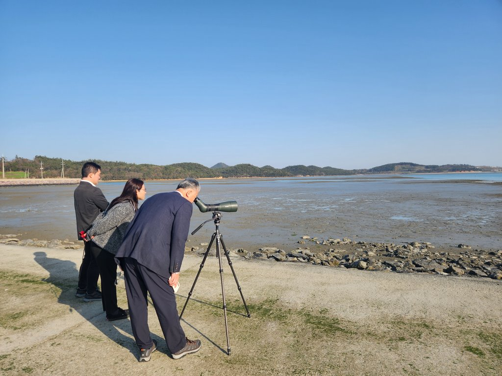 신안 갯벌