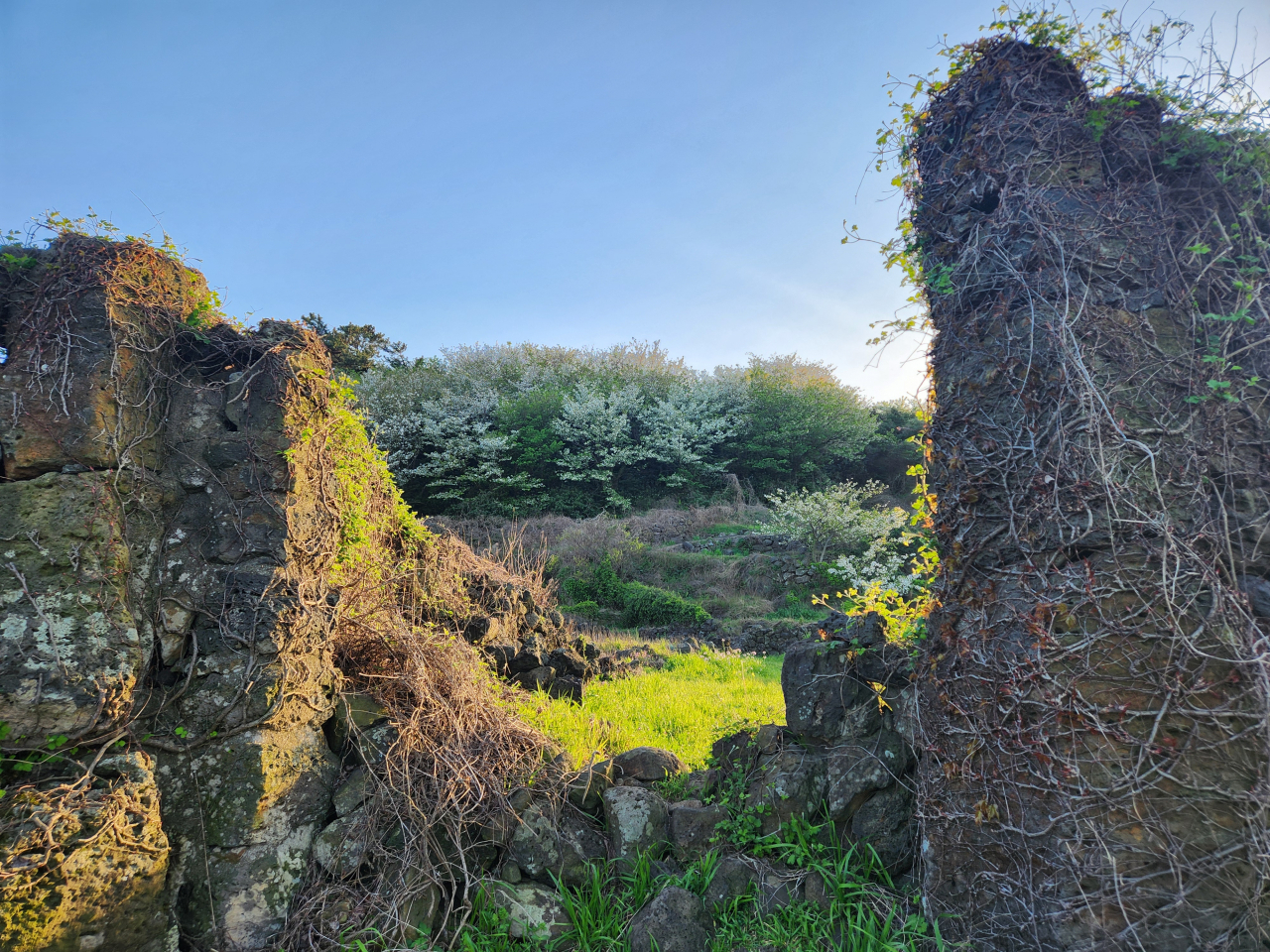 Walls surround an empty lot that had once been a family home in Gonul-dong, one of the villages destroyed by soldiers during the April 3 Incident. (Yoon Min-sik/The Korea Herald)