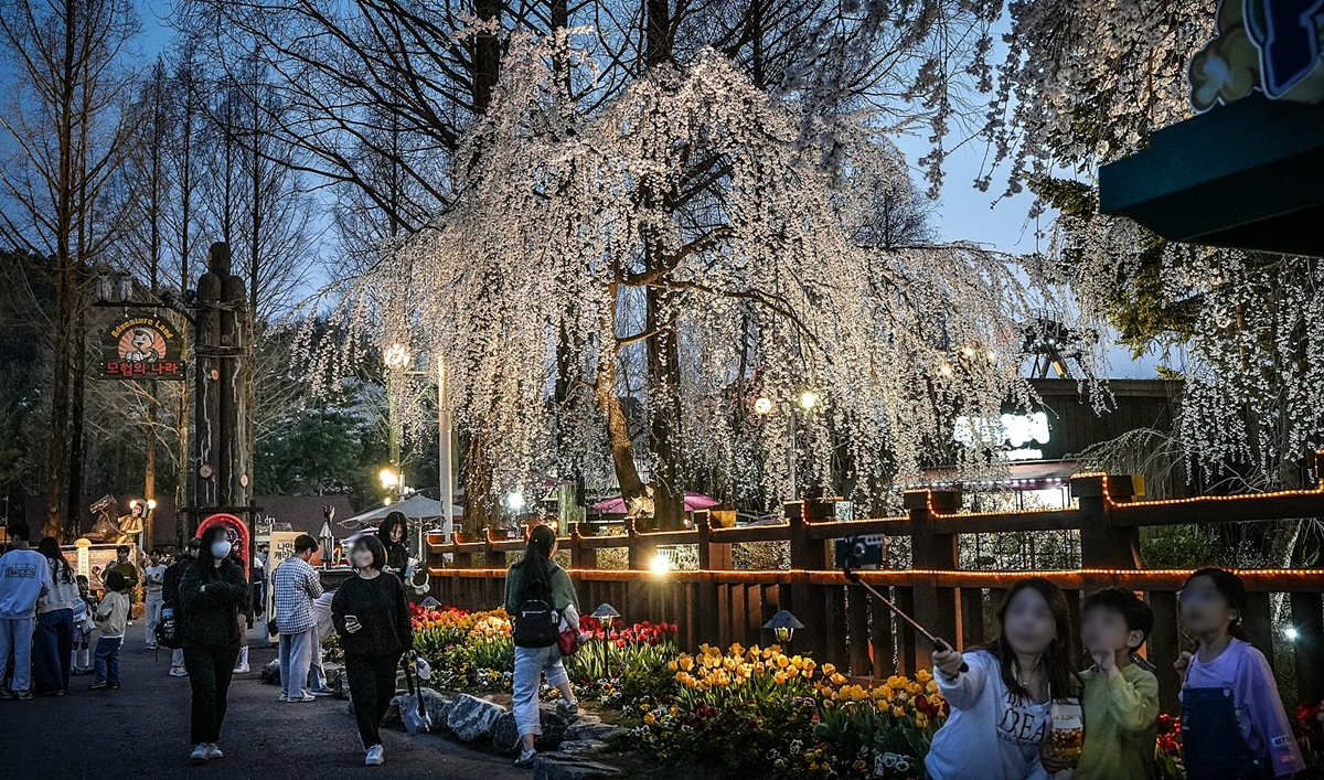 [서울랜드]