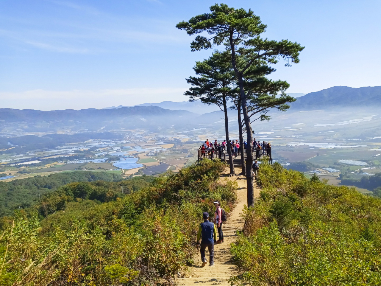 펀치볼을 한 눈에 보는 부부소나무 전망대