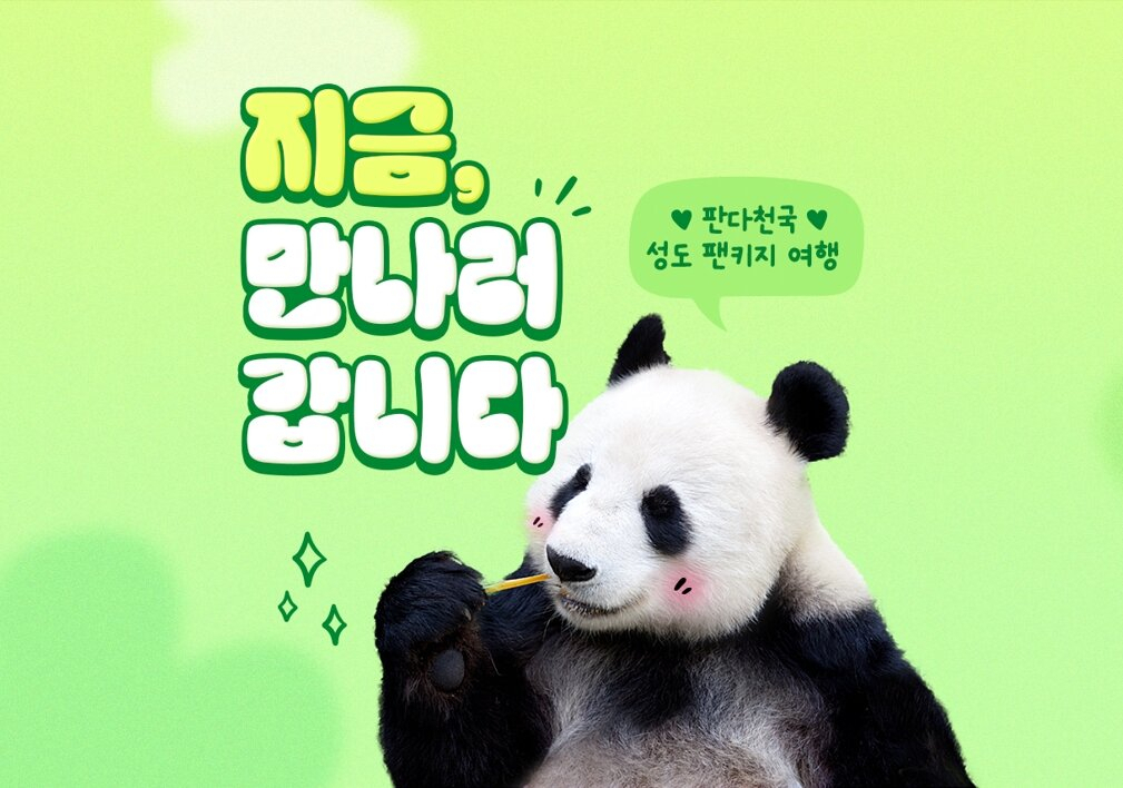 하나투어의 선제적 스촨성 판다여행 패키지의 알림 이미지