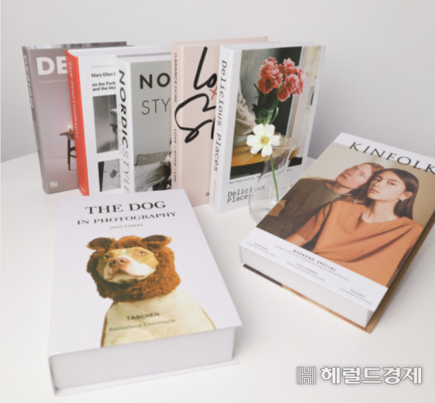 독서 인구가 감소하면서 책이 아닌 모형 책이 인기를 끌고 있다. 사진은 인터넷에서 쉽게 구입할 수 있는 모형책. 김용재 기자
