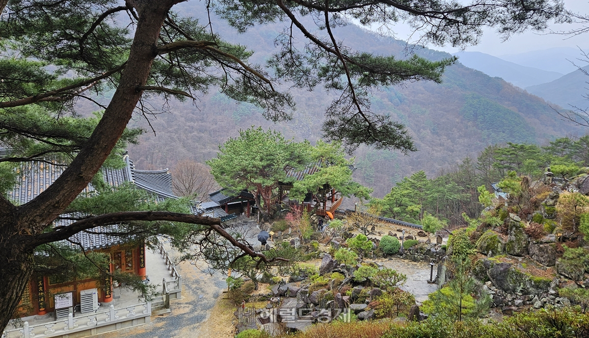 서암정사 전경. 유독 바위가 많고, 바위에 새긴 불상도 많은 신비로운 장소다.
