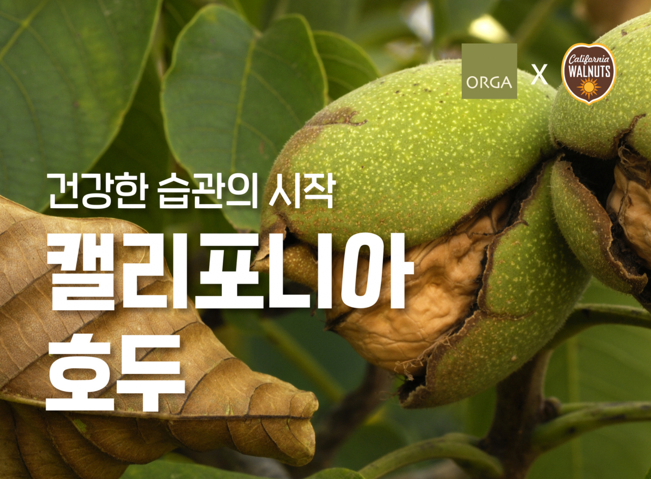 풀무원 올가홀푸드가 캘리포니아호두협회와 함께한 기획전 이미지 [풀무원 제공]